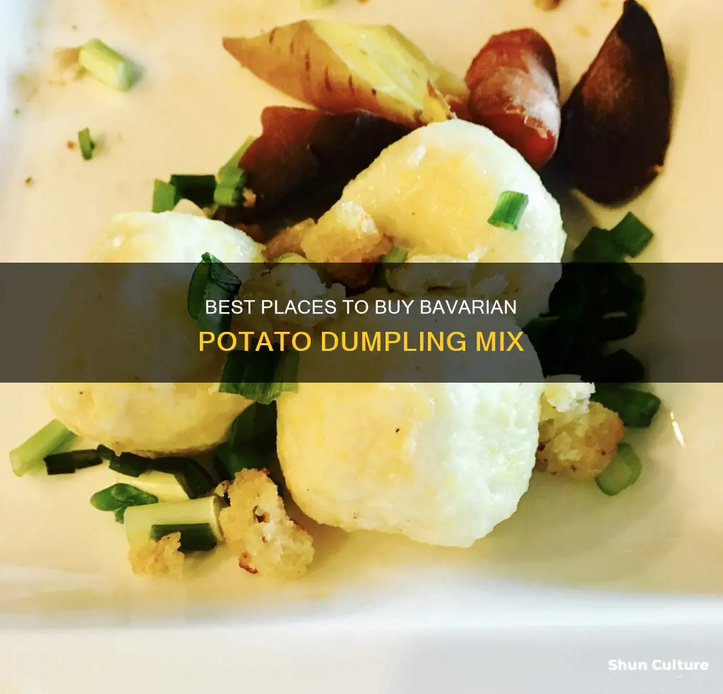 where to buy panni bavarian potato dumpling mix