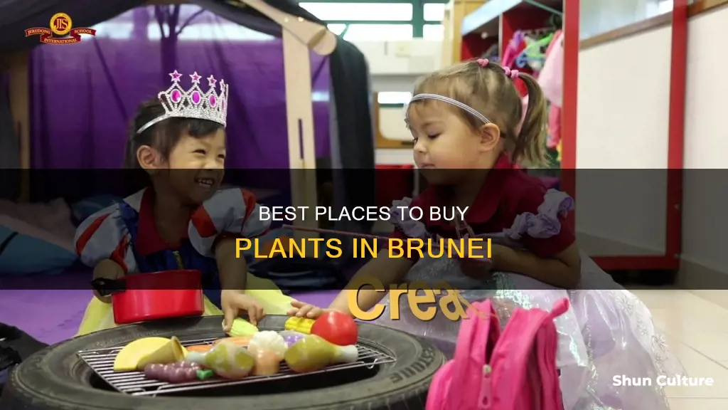 where to buy plants in brunei