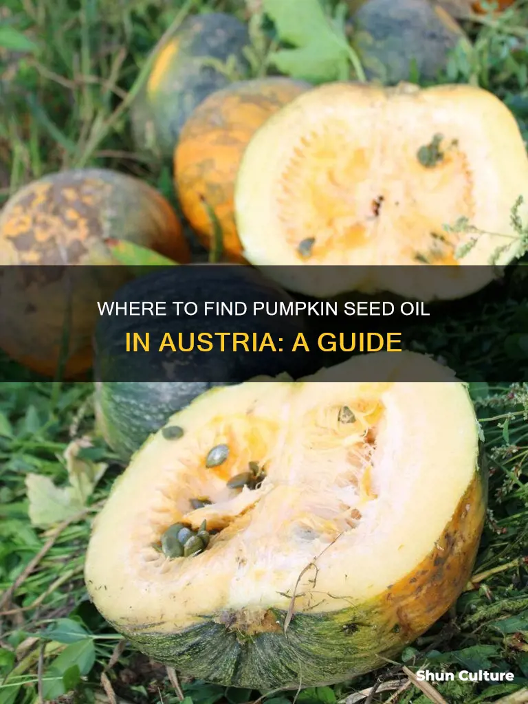 where to buy pumpkin seed oil in austria