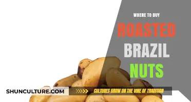 Best Places to Buy Roasted Brazil Nuts Online and Locally