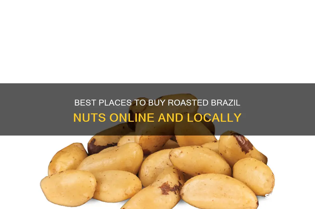 where to buy roasted brazil nuts