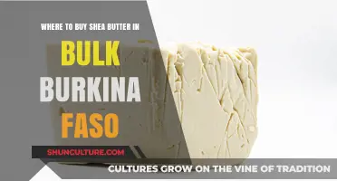 Sourcing Shea Butter in Bulk: A Burkina Faso Guide
