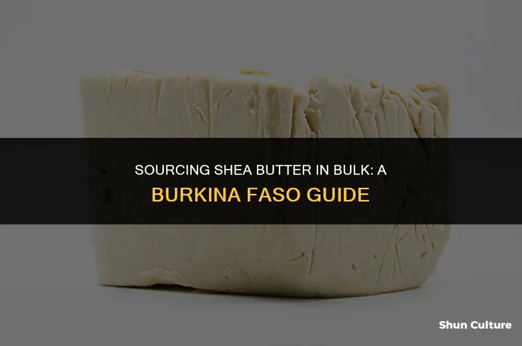 where to buy shea butter in bulk burkina faso