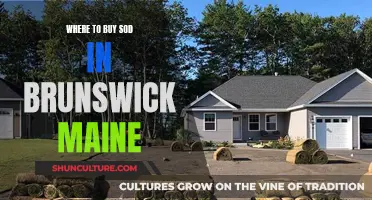 Brunswick, Maine: Best Places for Sod