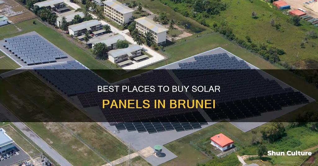 where to buy solar panel in brunei