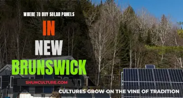 Best Solar Panel Shops in New Brunswick