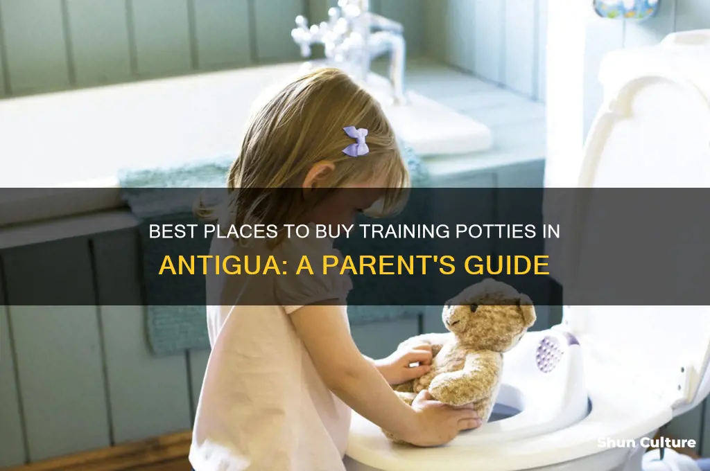 where to buy training potty antigua