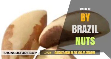 Discover the Best Places to Buy Brazil Nuts Online & In-Store