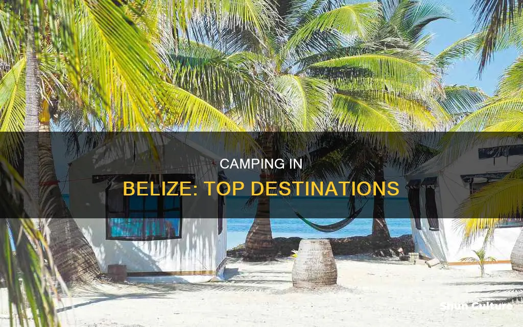 where to camp in belize