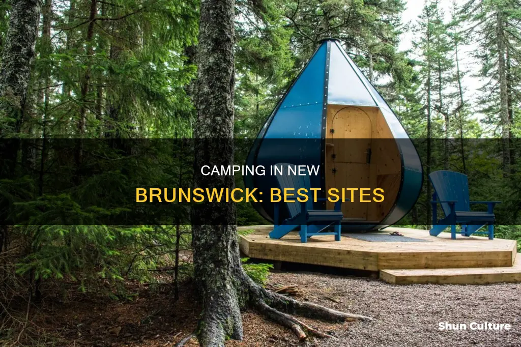 where to camp in new brunswick