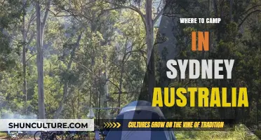 Sydney's Best Camping Spots: Nature Escapes Near the City