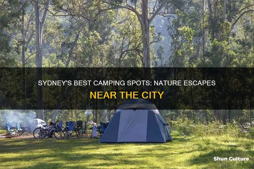 where to camp in sydney australia