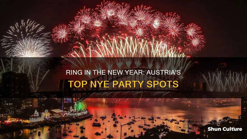 where to celebrate new year