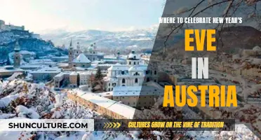 Celebrating New Year's Eve in Austria: Top Destinations