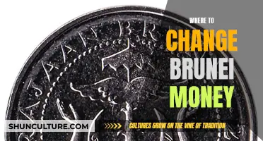 Best Money Changers in Brunei for Currency Exchange