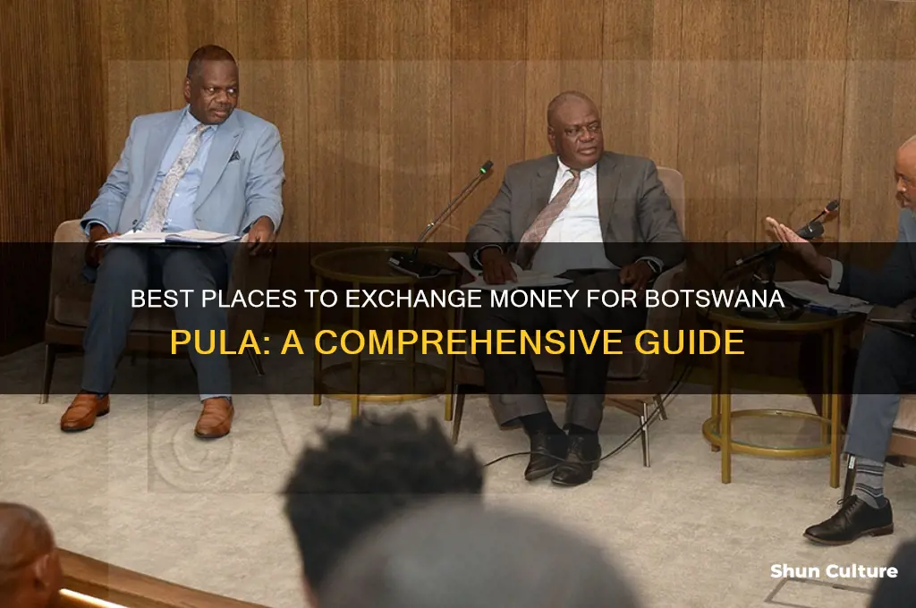 where to convert to botswana currency