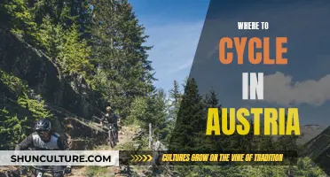 Austria's Cycling Paradise: Uncovering Scenic Routes and Hidden Gems