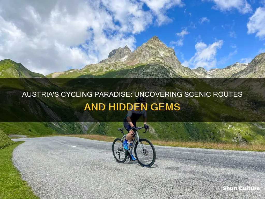 where to cycle in austria