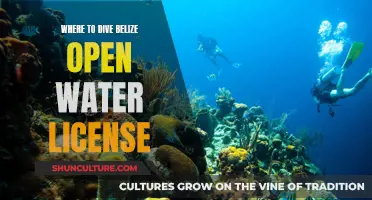 Belize's Best Open Water Dive Spots