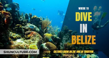 Explore Belize's Best Diving Spots