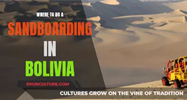 Sandboarding in Bolivia: Best Desert Destinations