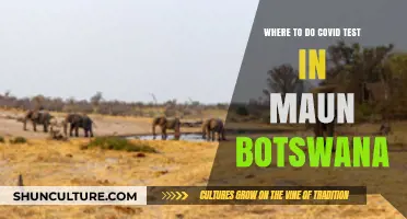COVID-19 Testing Locations in Maun, Botswana: A Comprehensive Guide