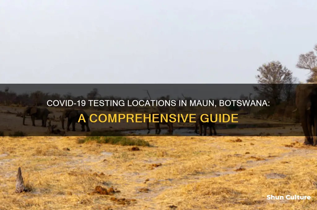 where to do covid test in maun botswana