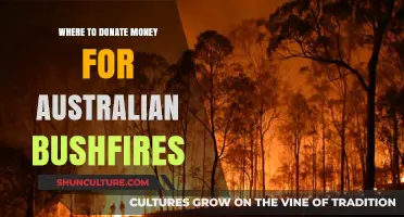 Help Australia: Where to Donate for Bushfire Relief