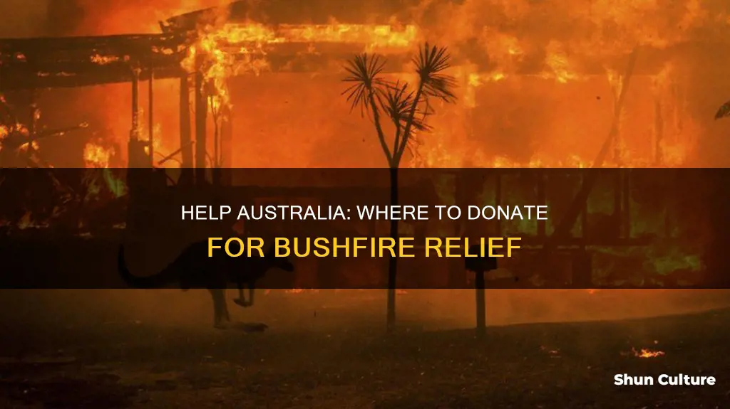 where to donate money for australian bushfires