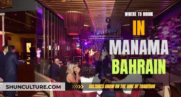 Exploring Manama's Best Drinking Spots in Bahrain