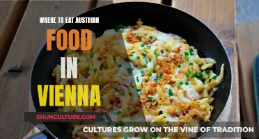 Authentic Austrian Food: Where to Eat in Vienna