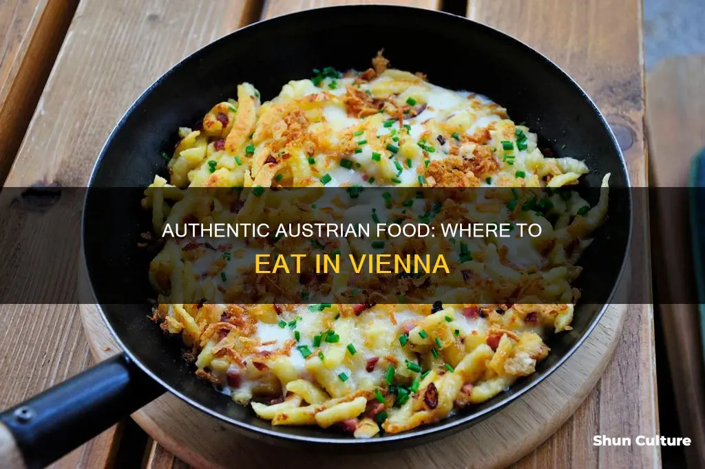 where to eat austrian food in vienna