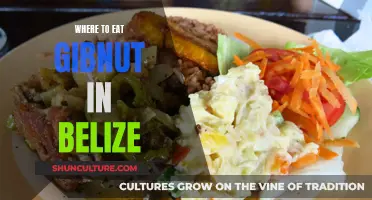 Belize's Best Gibnut Restaurants