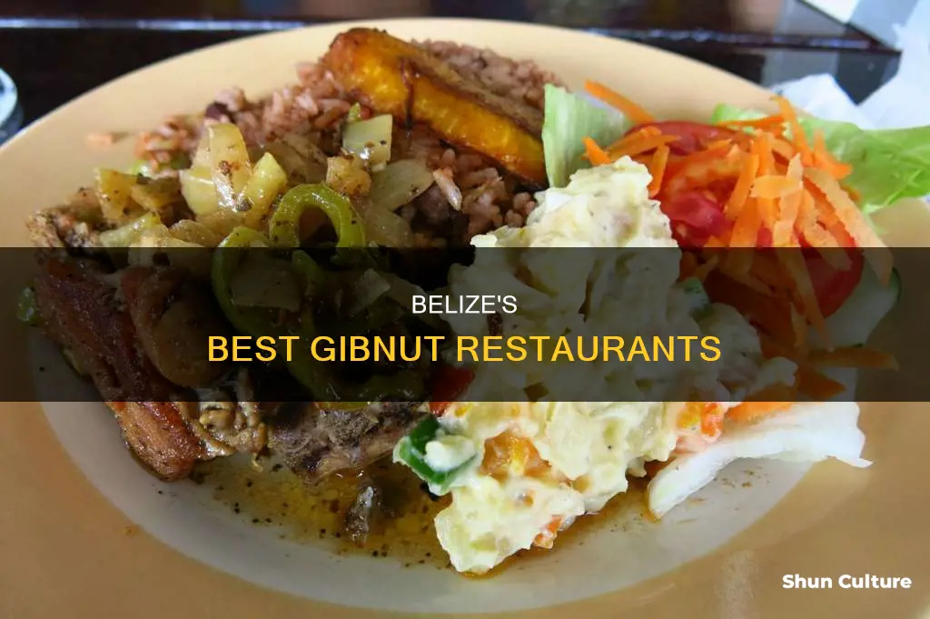 where to eat gibnut in belize