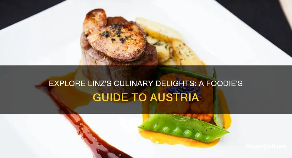 where to eat in linz austria