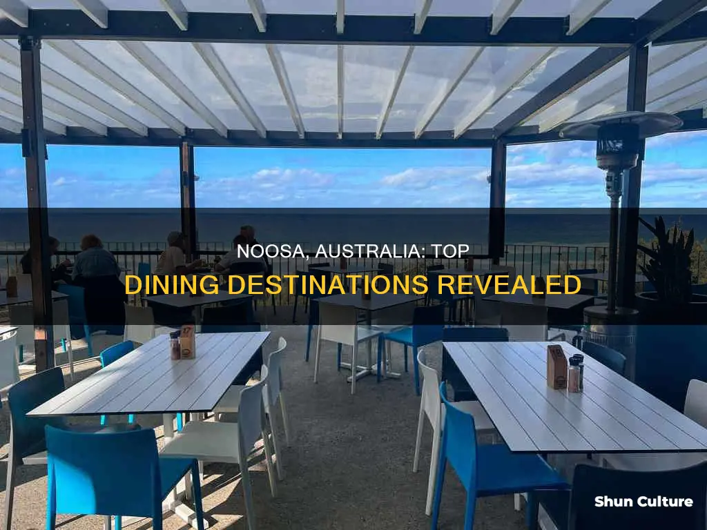where to eat in noosa australia