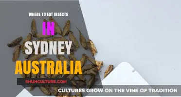 Sydney's Best Spots to Savor Edible Insects: A Tasty Adventure