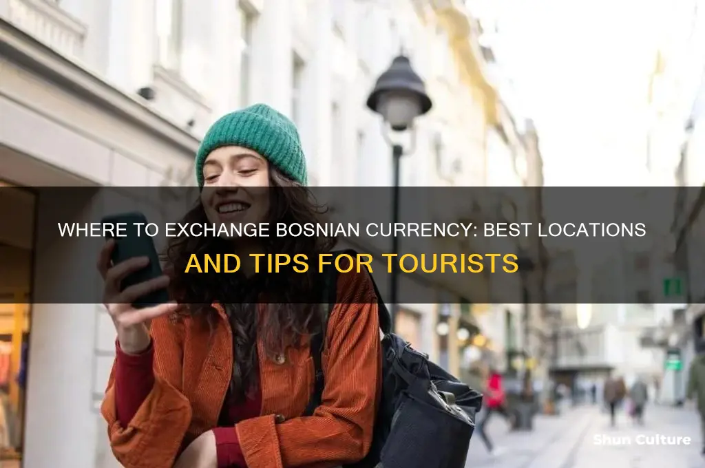 where to exchange bosnian currency