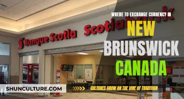 Best Currency Exchange Spots in New Brunswick