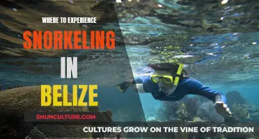 Belize's Best Snorkeling Spots