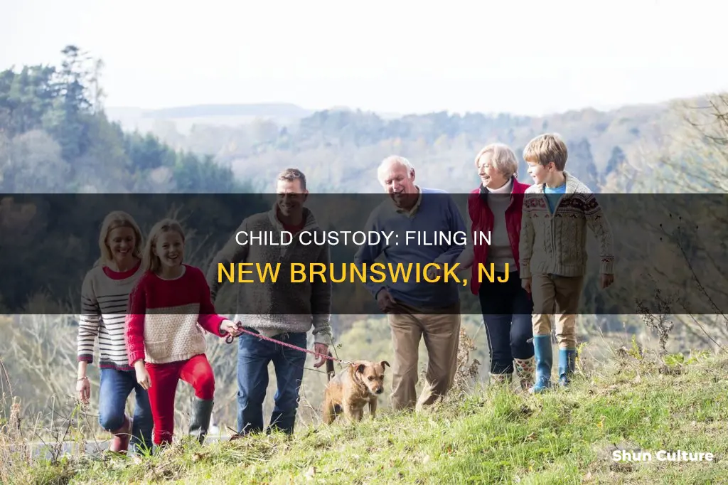 where to file for child custody new brunswick nj