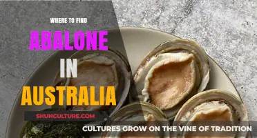 Abalone Hunting in Australia: Best Locations