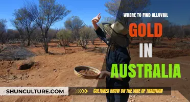 Alluvial Gold: Australia's Golden Regions Revealed