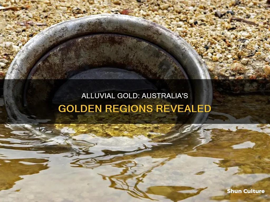 where to find alluvial gold in australia