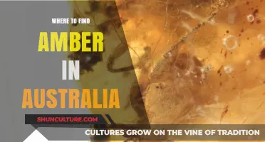 Discover Amber in Australia: Top Locations