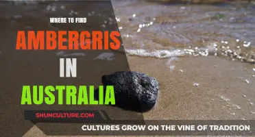 Discovering Ambergris: Australia's Coastal Treasures