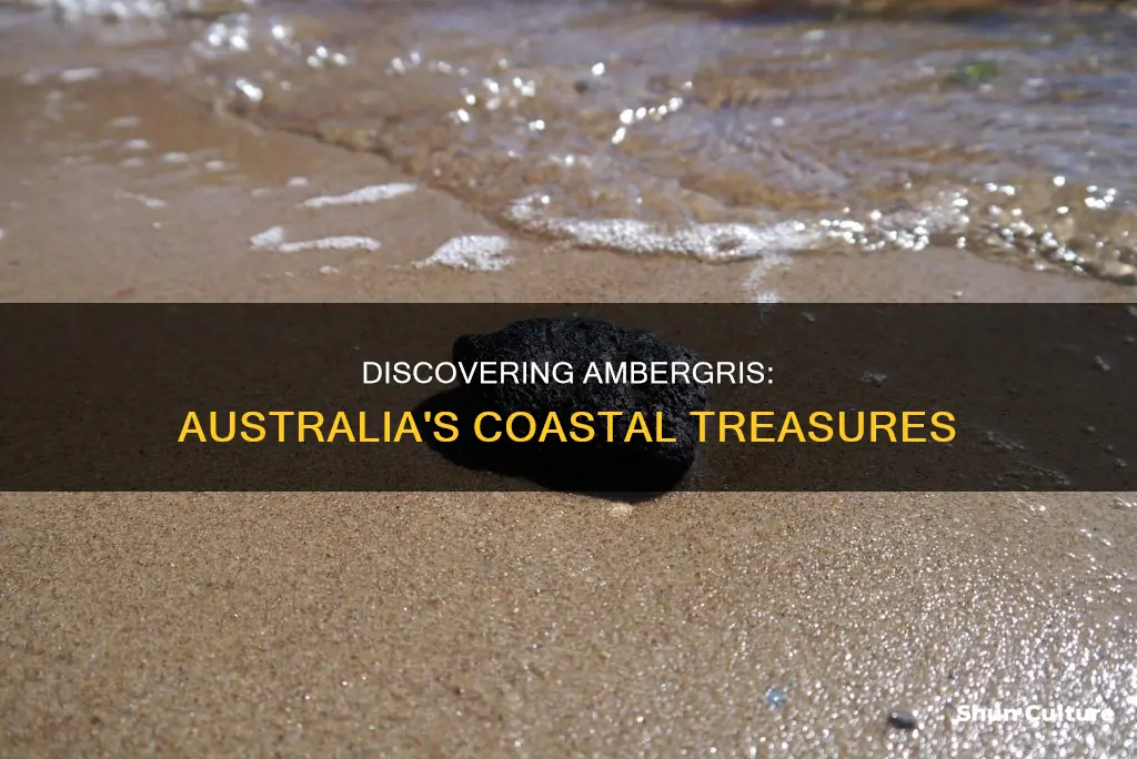 where to find ambergris in australia