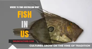 Finding Dory: Australian Fish in US Waters
