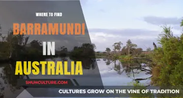 Barramundi Fishing: Best Spots in Australia