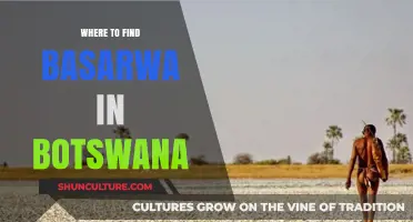 Discovering Botswana's Basarwa: Locations and Cultural Insights to Explore